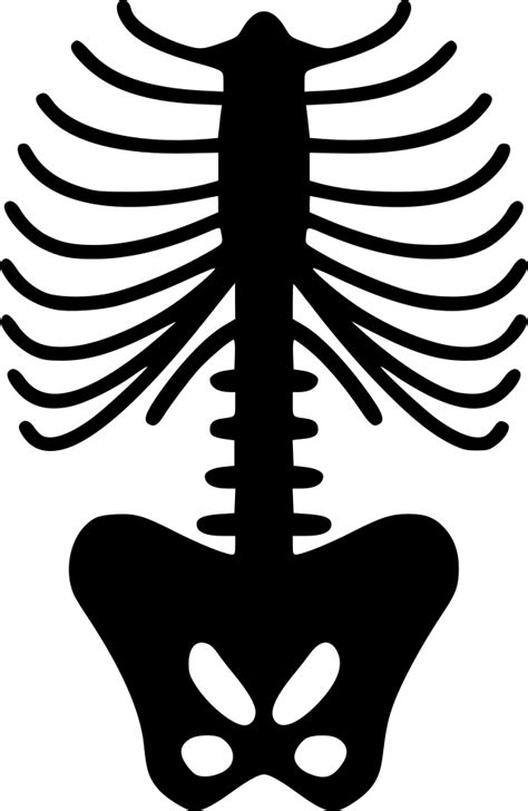 Download Spine Skeleton Svg Png Icon Free Download (#493014) - OnlineWebFonts.COM