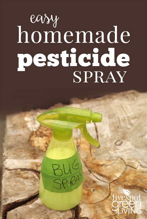 How to make homemade mosquito killer spray. How to Make Your Own Homemade Pesticide Spray | Homemade bug spray, Natural pest control, Insect ...