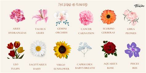 The Perfect Flowers For Each Zodiac Sign Flower Chimp