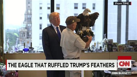 The Eagle That Ruffled Donald Trumps Feathers Cnn Video