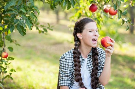 Girl With Apple In The Apple Orchard Stock Photo Image Of Healthcare