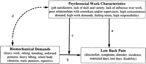 Conceptual Model Of The Relationship Between Psychosocial And