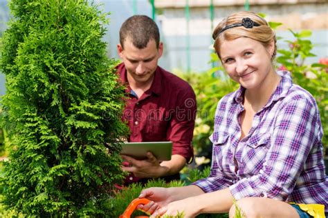 A Couple Of Gardeners In The Nursery Take Care Stock Photo Image Of