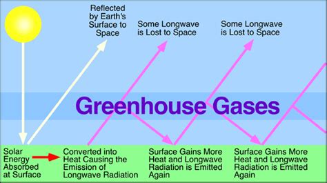 The greenhouse effect is one of the leading causes of global climate change, but most people have only heard about it through the news. 7(h) The Greenhouse Effect: Greenhouse Effect Illustrated