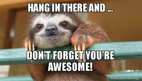 hang in there and be awesome meme cute motivational quotes hang in there quotes feel better