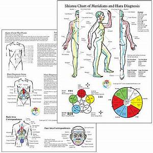 Shiatsu Chart Of Meridians And Hara Diagnosis Acupuncture Tcm 8 5 X 11