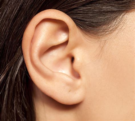 Ear Definition Of Ear