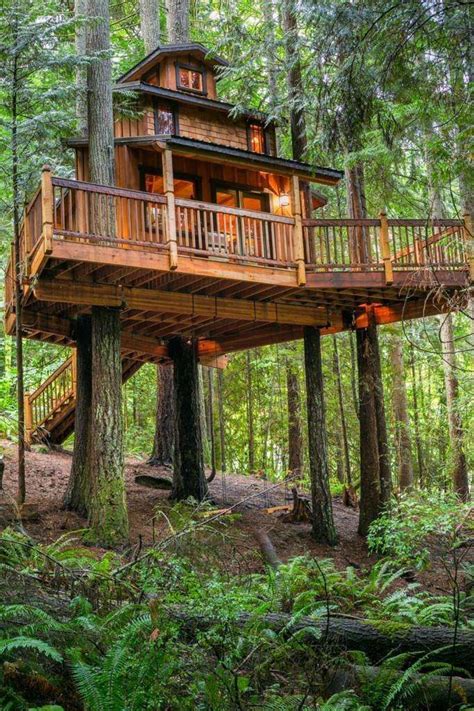This Gorgeous Tree House Is Our Dream Bunkie Beautiful Tree Houses Tree House Designs Luxury