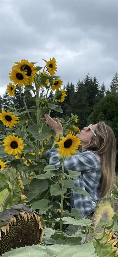Kiss Your Sunflowers Plants Sunflower Kiss You