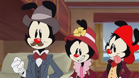 Top Animaniacs Wallpapers Full HD K Free To Use