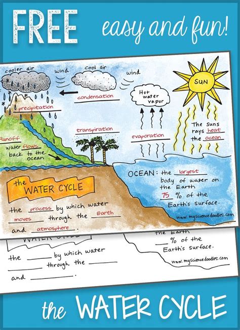Free Water Cycle Interactive Notebook Elementary Earth Science Earth