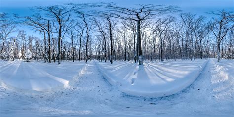 Park In The Snow • Hdri Haven