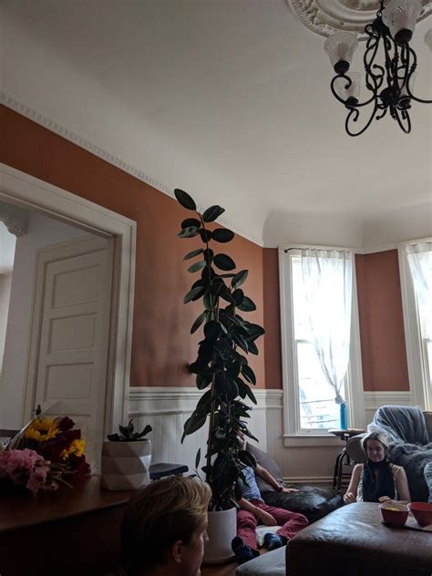 Berger home decor naksha stencil illusion design. Pin by Larisa Berger on nest | Decor, Home decor, Furniture
