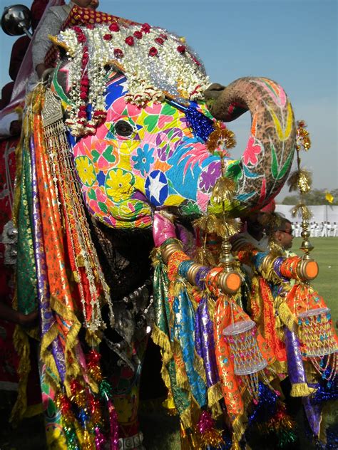 Viajes And FotografÍa Festival De Los Elefantes Jaipur India