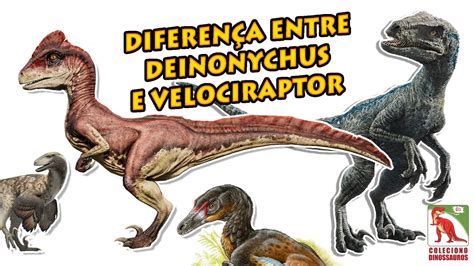 Qual A Diferença Entre Um Velociraptor E Um Deinonychus Youtube