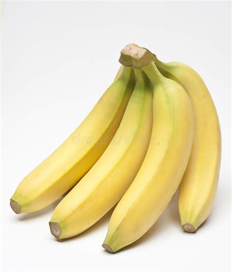 Bananas Stock Photo Image Of Nutrition Tropical Bananas 24325780