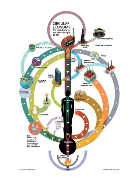 Interesting Infographic Showing How The Circular Economy Works And How