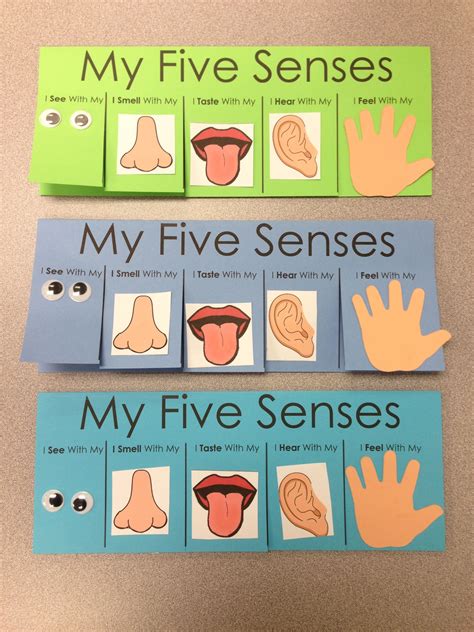 Five Senses Craft Flip Book Visit Senses Preschool Five