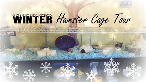 Winter Themed Hamster Cage Tour Youtube
