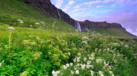 Iceland Morning Scenery Full Hd Desktop Wallpapers 1080p