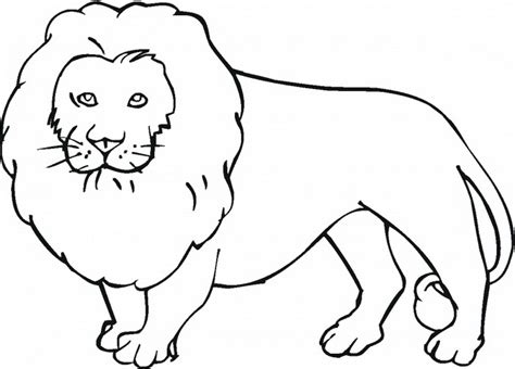 Wild Animal Coloring Pages For Kids Animals Check Out Our Collection