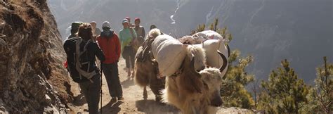 Best Luxury Treks In Nepal A Detailed Guide