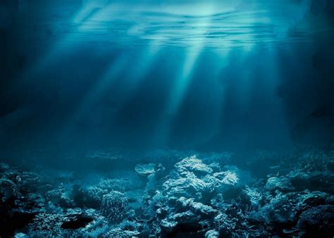 Deep Sea Ocean Underwater Coral Reef Photo Studio