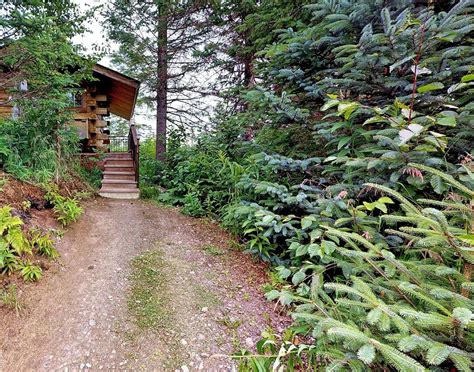 Maybe you would like to learn more about one of these? Secluded Cabin Rental on Kachemak Bay in Alaska