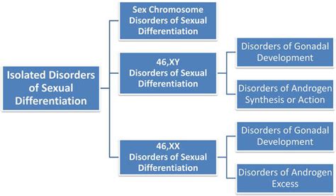 Approach To The Newborn With Disorders Of Sex Development Intechopen