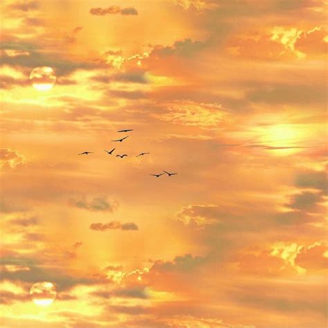 Gold Sunset Sky With Birds Cotton Fabric By Elizabeths Studio In 2021