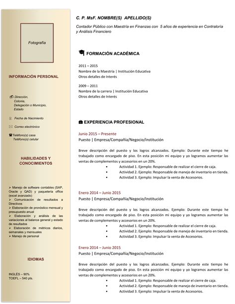 Curriculum Vitae De Contador Formato