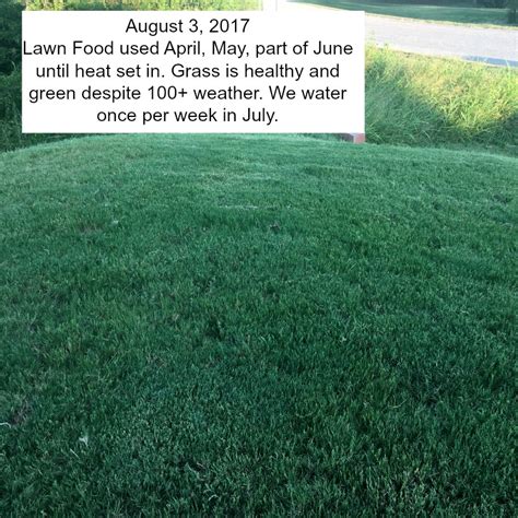Cheap Safe And Incredibly Effective Homemade Lawn Food