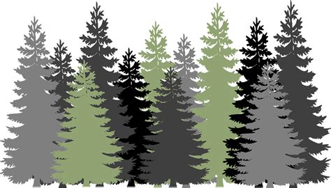 Download Forest Trees Evergreen Royalty Free Vector Graphic Pixabay