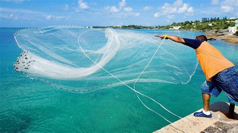 A fishing net formed of monofilaments 200 to 2,000 deniers thick which are prepared mainly from polyamide resin blended with polypropylene and, if 2. Most Satisfying Cast Net Fishing Video - Traditional Net ...
