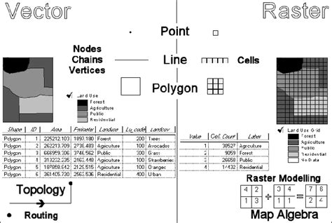 Raster And Vector Gis Data Structures The Middle Part Of Download