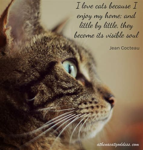Athena Cat Goddess Wise Kitty Cat Quote I Love Cats Because I Enjoy