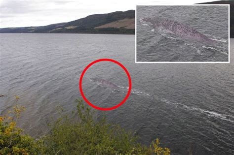 Clear New Photo Of Loch Ness Monster Goes Viral But Experts Think