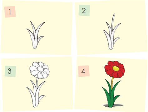 Cara Menggambar Bunga Yang Paling Gampang Mengggambar Dan Mewarnai 💕💕