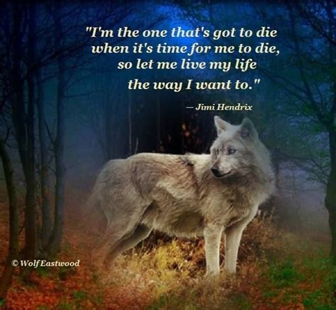 Pin By Katrina Hackl On Beautiful Wolves Wolf Quotes Wolf Pictures
