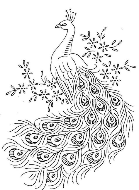 Free printable peacock coloring pages. peacock-coloring-pages
