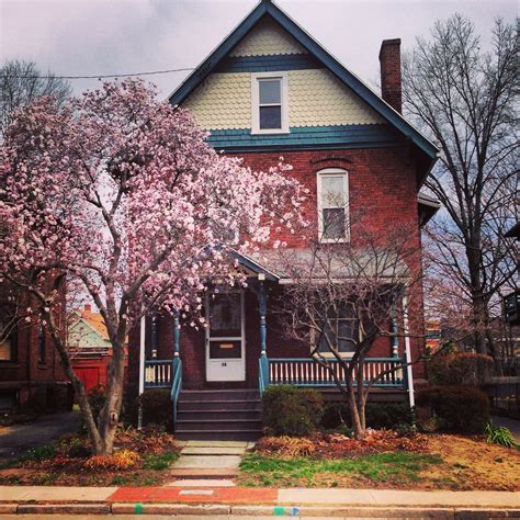We did not find results for: Beautiful cherry blossom tree in the front yard ...