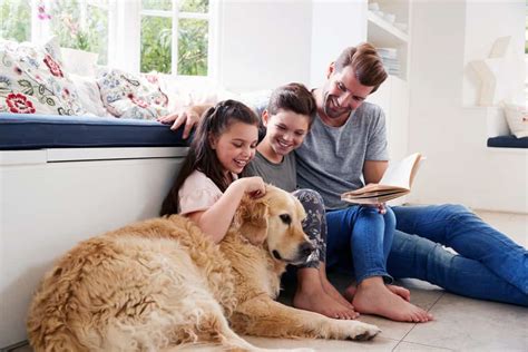 Es Ciencia Tener Un Perro En Casa Te Hace Más Feliz Familias