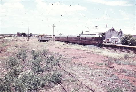 A Rare View Showing 1960s Era Cobar Railway Station And Yard With Water