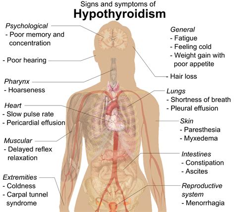 Thyroid Symptoms Early Warning Signs Of Thyroid Problems In Teenage