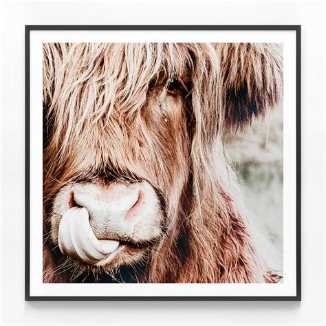 Irvine Highland Cow Framed Print Or Canvas Wall Art 41 Orchard