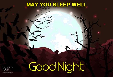 May You Sleep Well Good Night Friends Premium Wishes