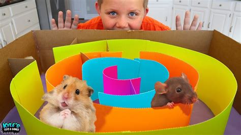 Adorable Hamster Maze Race Vs Surprise Mystery Pet Youtube
