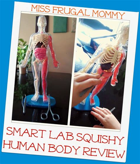 SmartLab Toys: Squishy Human Body Review - Miss Frugal Mommy