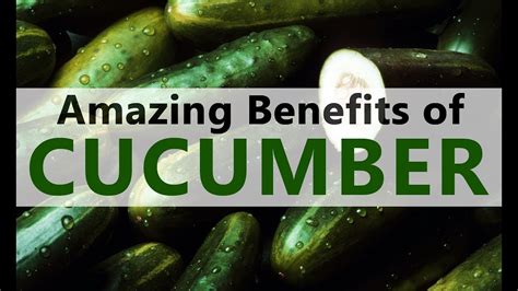 10 Amazing Health Benefits Of Cucumber And Uses Wealth Result
