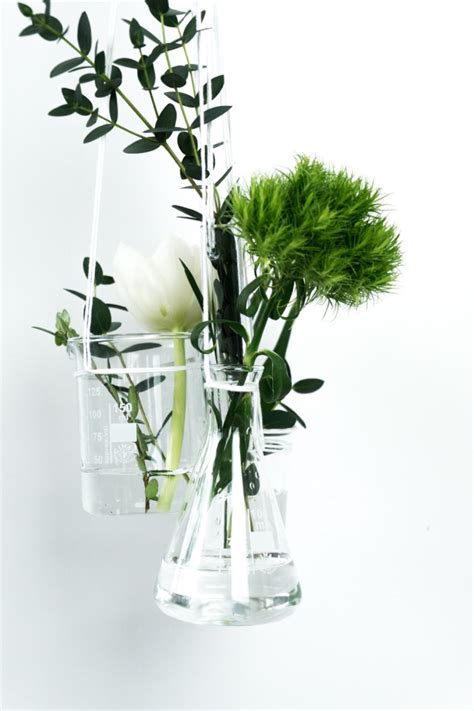 What begins as an idyllic retreat. 6 kreative Ideen für Pflanzen Deko | schereleimpapier DIY